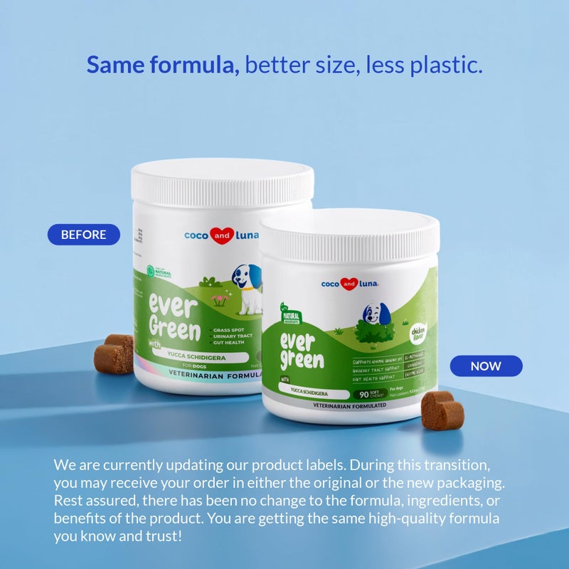 Coco and Luna Grass Burn Spot Soft Chews - Pee Grass Spot Saver Caused by Dog Urine - Dog Urine Neutralizer for Lawn, with Canine Enzyme Blend, Probiotics, and Cranberry. - Image 2