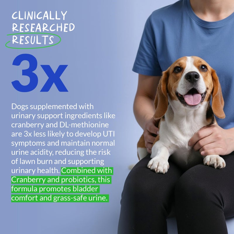 Coco and Luna Grass Burn Spot Soft Chews - Pee Grass Spot Saver Caused by Dog Urine - Dog Urine Neutralizer for Lawn, with Canine Enzyme Blend, Probiotics, and Cranberry. - Image 4