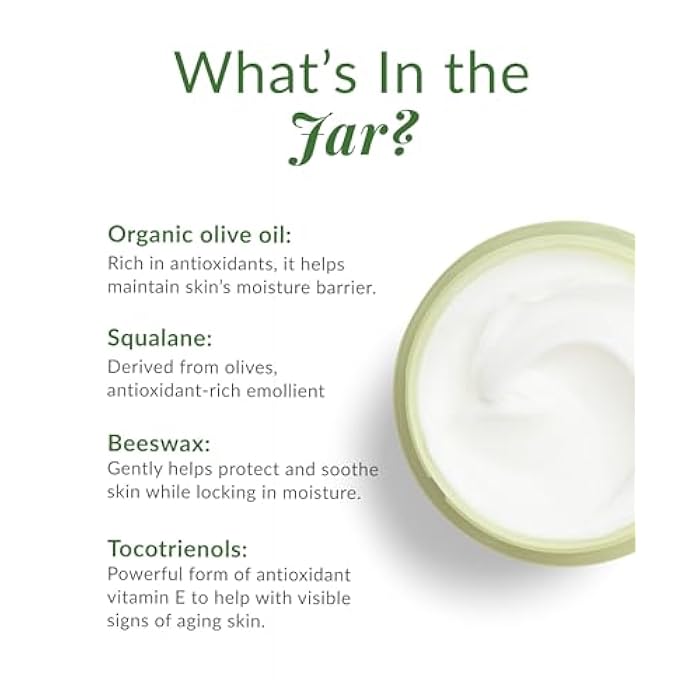 DHC Olive Virgin Oil Essential Cream, Moisturizer, Hydrating, Promotes Skin Elasticity, Radiant, Fragrance and Colorant Free, Ideal for All Skin Types, 1.7 oz. Net wt. - Image 3