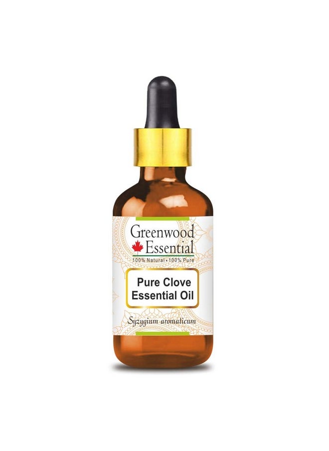 Greenwood Essential - Greenwood Essential Pure Clove Essential Oil (Pimpinella anisum) with Glass Dropper Steam Distilled 50ml - Image 1