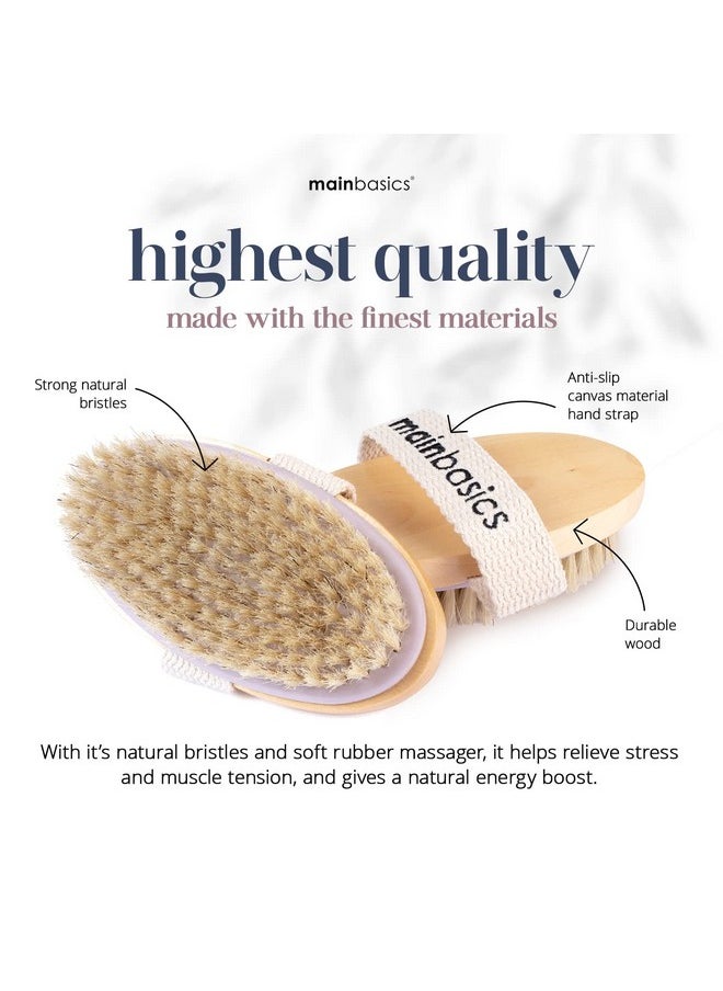 MainBasics - Oval Dry Brushing Body Brush Exfoliating Body Scrub Brush With Boar Bristles Stimulates Lymphatic Drainage And Removes Dead Cells For Glowing Skin 5 X 2.5 In - Image 1
