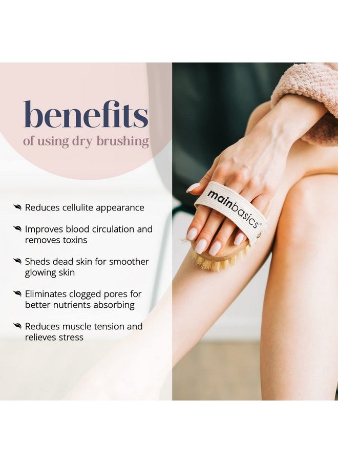 MainBasics - Oval Dry Brushing Body Brush Exfoliating Body Scrub Brush With Boar Bristles Stimulates Lymphatic Drainage And Removes Dead Cells For Glowing Skin 5 X 2.5 In - Image 1