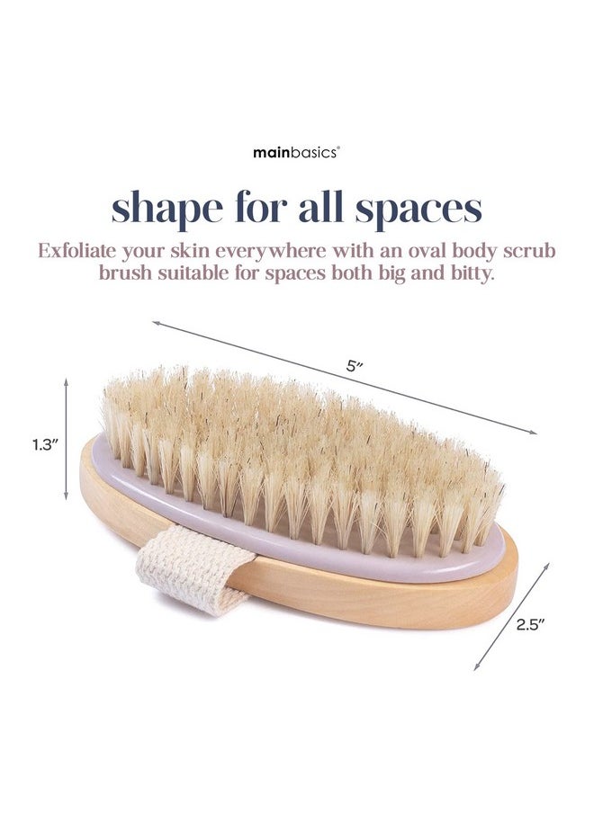 MainBasics - Oval Dry Brushing Body Brush Exfoliating Body Scrub Brush With Boar Bristles Stimulates Lymphatic Drainage And Removes Dead Cells For Glowing Skin 5 X 2.5 In - Image 1