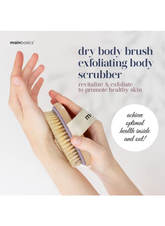 MainBasics - Oval Dry Brushing Body Brush Exfoliating Body Scrub Brush With Boar Bristles Stimulates Lymphatic Drainage And Removes Dead Cells For Glowing Skin 5 X 2.5 In - Image 1