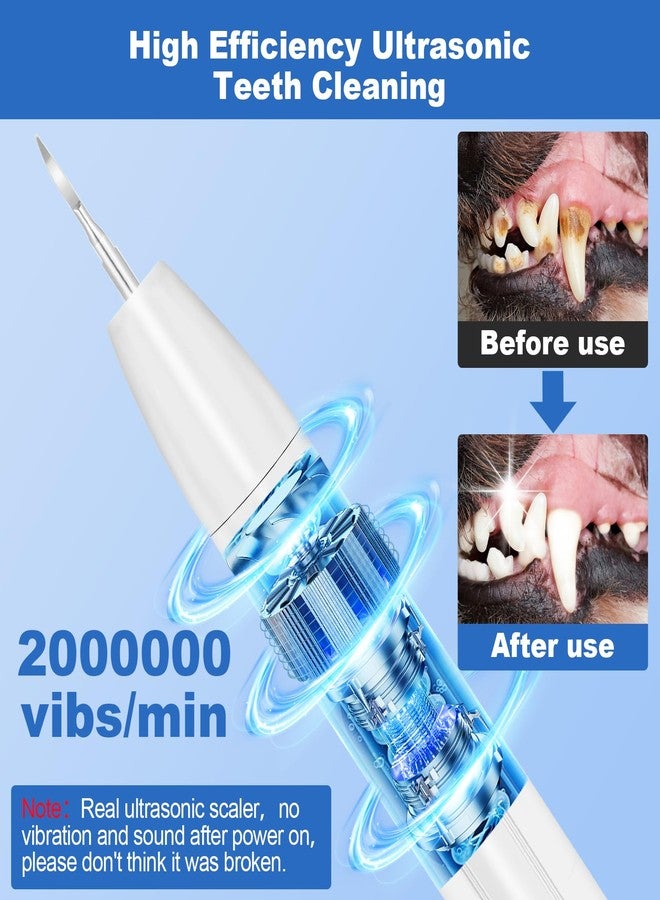 ZREVSB Dog Teeth Cleaning Kit with Light, USB Rechargeable Small Dogs Tooth Brushing Kit, 3 Modes Doggie Toothbrush, Dog Plaque and Tartar Remover for Teeth, Low Noise Dog Teeth Cleaner, Pure White - Image 3