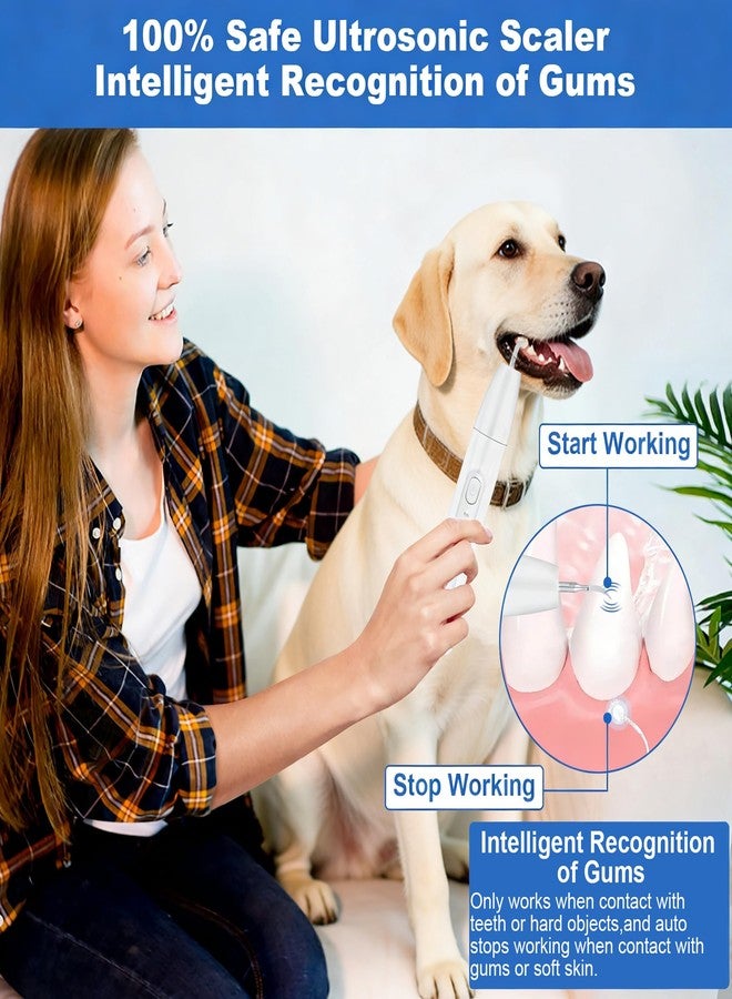 ZREVSB Dog Teeth Cleaning Kit with Light, USB Rechargeable Small Dogs Tooth Brushing Kit, 3 Modes Doggie Toothbrush, Dog Plaque and Tartar Remover for Teeth, Low Noise Dog Teeth Cleaner, Pure White - Image 2