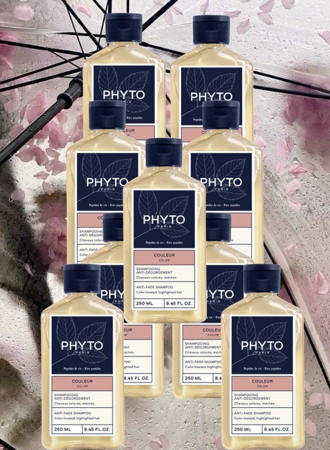 فيتو 9 قطع شامبو فيتو باريس المضاد للبهتان 250مل - Image 1