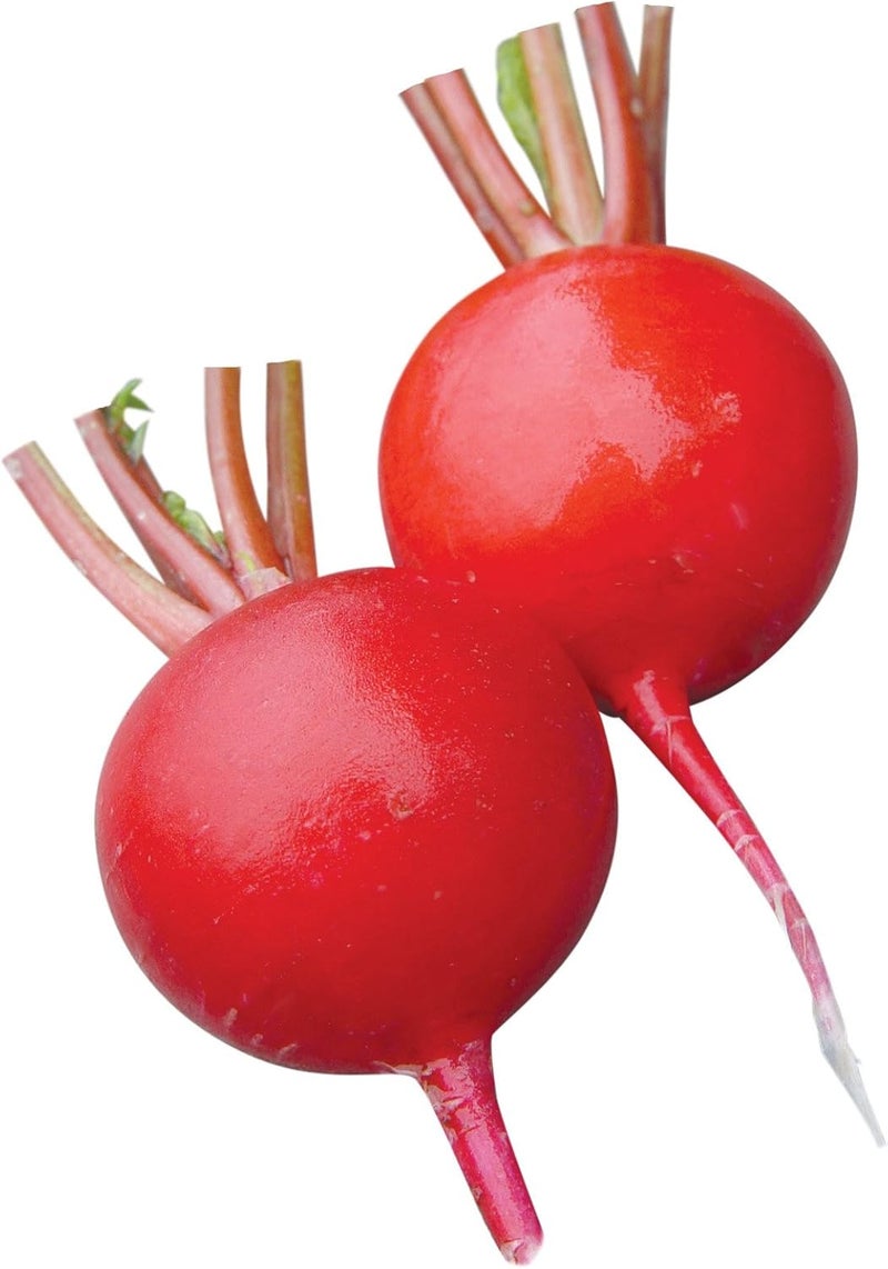 Burpee Perfecto Radish Seeds 200 seeds - Image 1