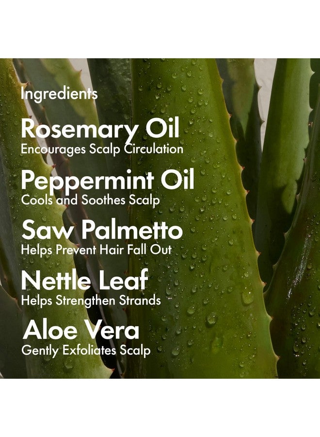 BONDIBOOST Hg Shampoo 10.14 Fl Oz Improves Appearance For Thinning Hair Volumizing Formula Hydrating + Nourishing Sulfate + Paraben Free For Women + Men Vegancrueltyfree Australian Made - Image 2