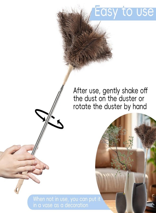 THARAHT Extendable Ostrich Feather Duster up to 27-94 inches Fluffy Feathers Long Handle Reusable for Cleaning Ceiling Fan Pendant lamp High Ceiling Blinds Furniture Feather Duster - Image 5