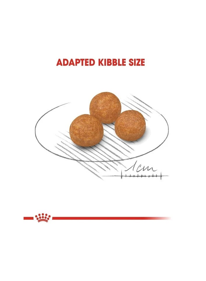 Royal Canin Dry Food for XS Breed Adult Dogs (10+ Months & Up to 4kg),1.5kg - Image 2