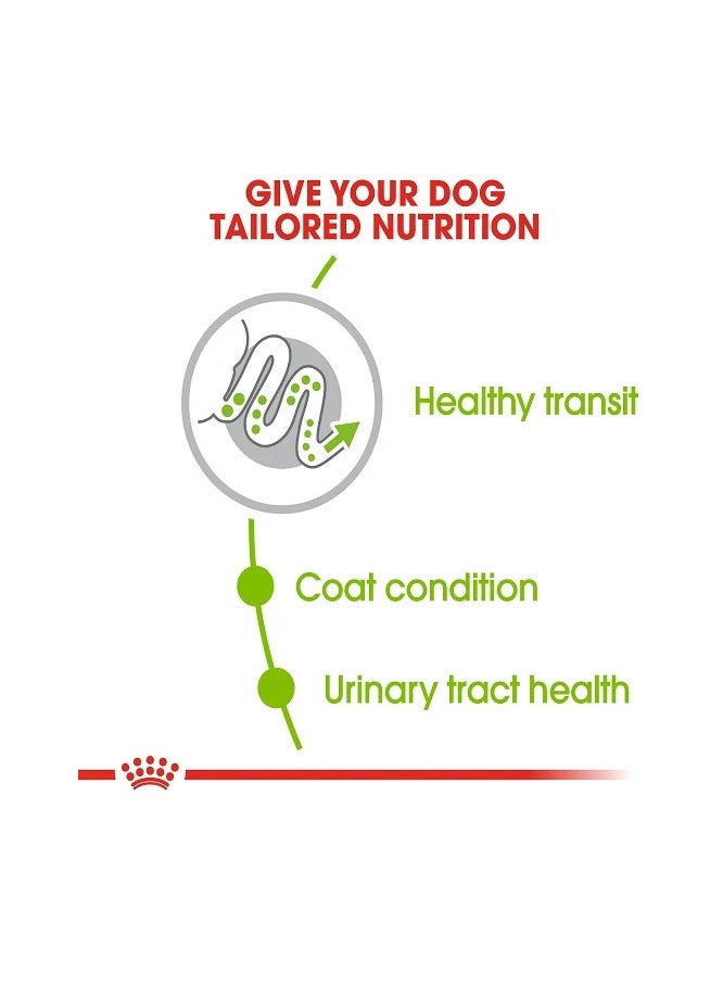 Royal Canin Dry Food for XS Breed Adult Dogs (10+ Months & Up to 4kg),1.5kg - Image 3