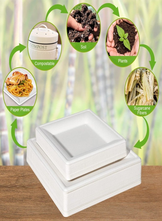 EcoAvance أطباق ورقية مربعة EcoAvance، أطباق ورقية 6 بوصة 100 عبوة، أطباق حلوى صديقة للبيئة قابلة للتحلل، أطباق صغيرة للتخلص منها للحفلات والزفاف، أطباق ورقية بيضاء متينة - Image 5