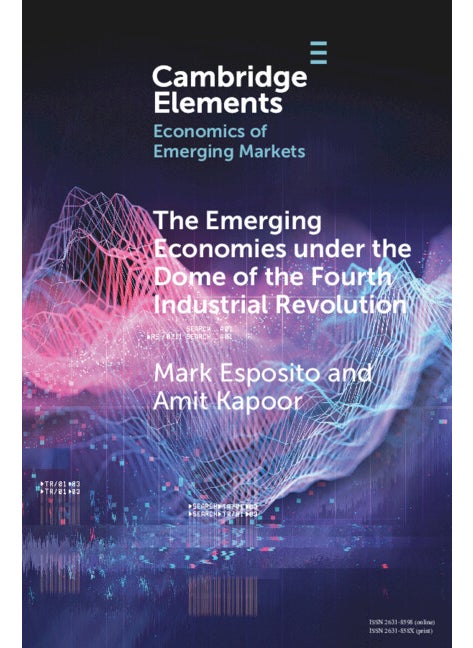 null - The Emerging Economies under the Dome of the Fourth Industrial Revolution - Image 1