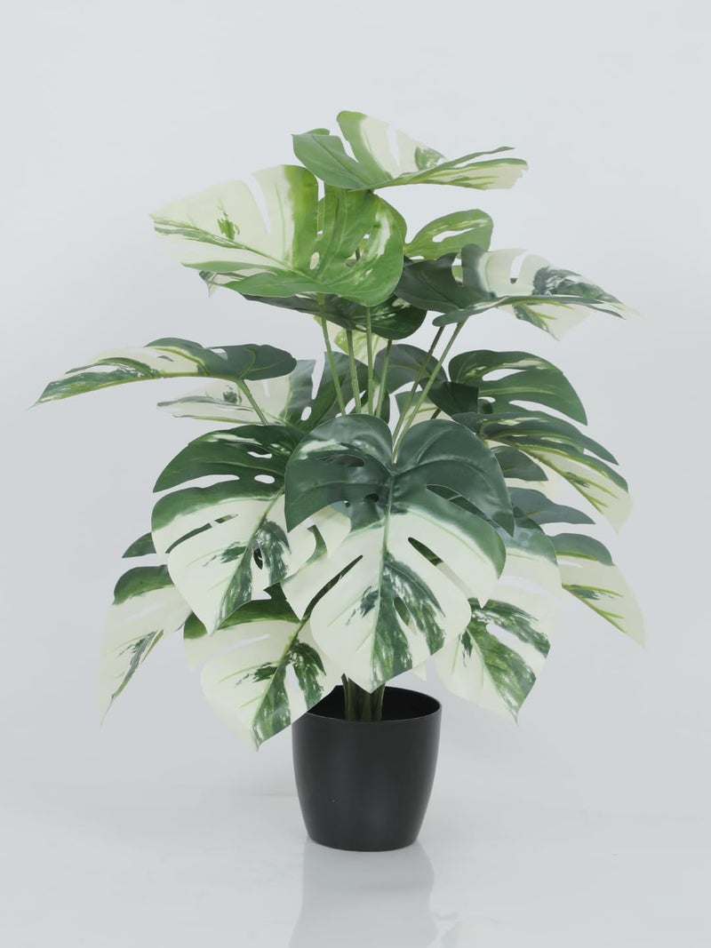 Home Bloom Artificial PVC Dieffenbachia Big Leaves Plants for Indoor Outdoor with Pot MonsteraWhite - Image 2
