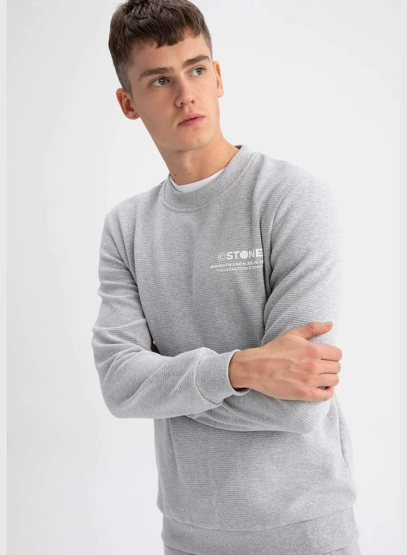 DeFacto Man Slim Fit Crew Neck Long Sleeve Knitted Sweatshirt