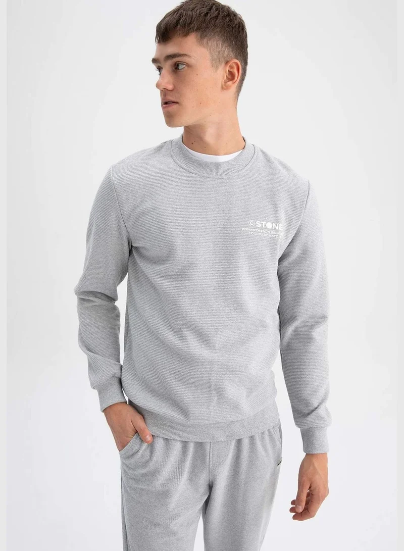 DeFacto Man Slim Fit Crew Neck Long Sleeve Knitted Sweatshirt