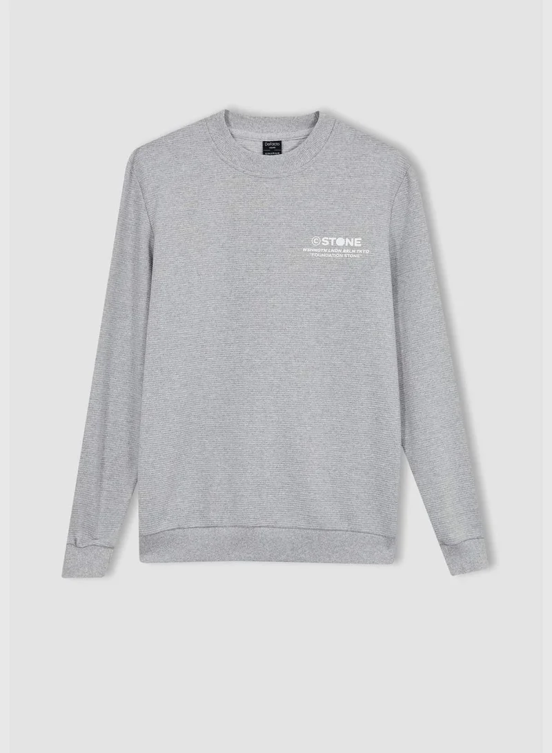 DeFacto Man Slim Fit Crew Neck Long Sleeve Knitted Sweatshirt