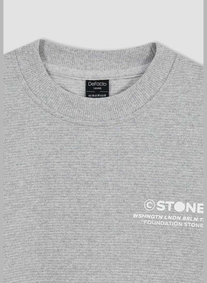 DeFacto Man Slim Fit Crew Neck Long Sleeve Knitted Sweatshirt