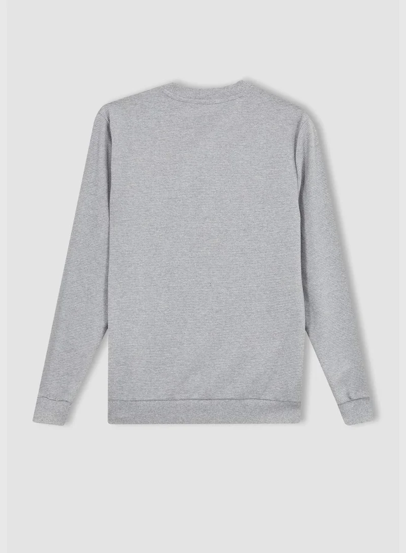 DeFacto Man Slim Fit Crew Neck Long Sleeve Knitted Sweatshirt