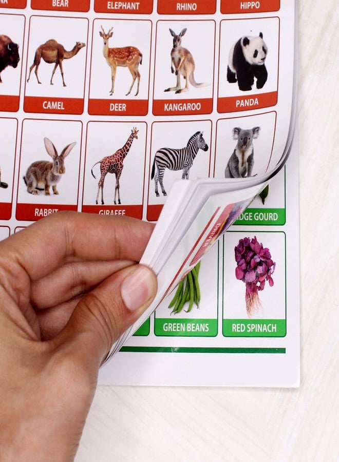 Baal Educational Leaning Charts for Kids Perfect for Homeschooling and Nursery Students - Image 5