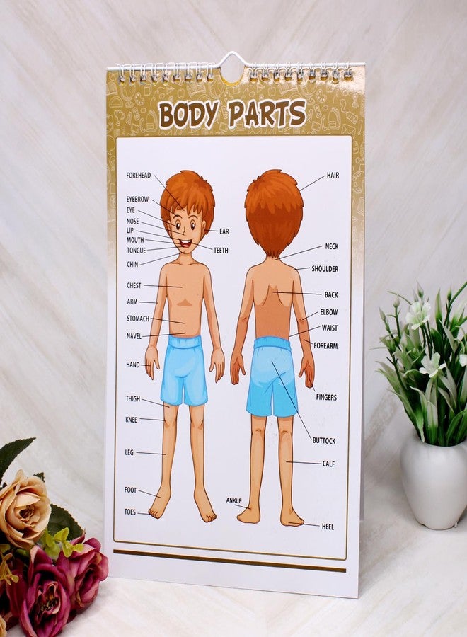 Baal Educational Leaning Charts for Kids Perfect for Homeschooling and Nursery Students - Image 4