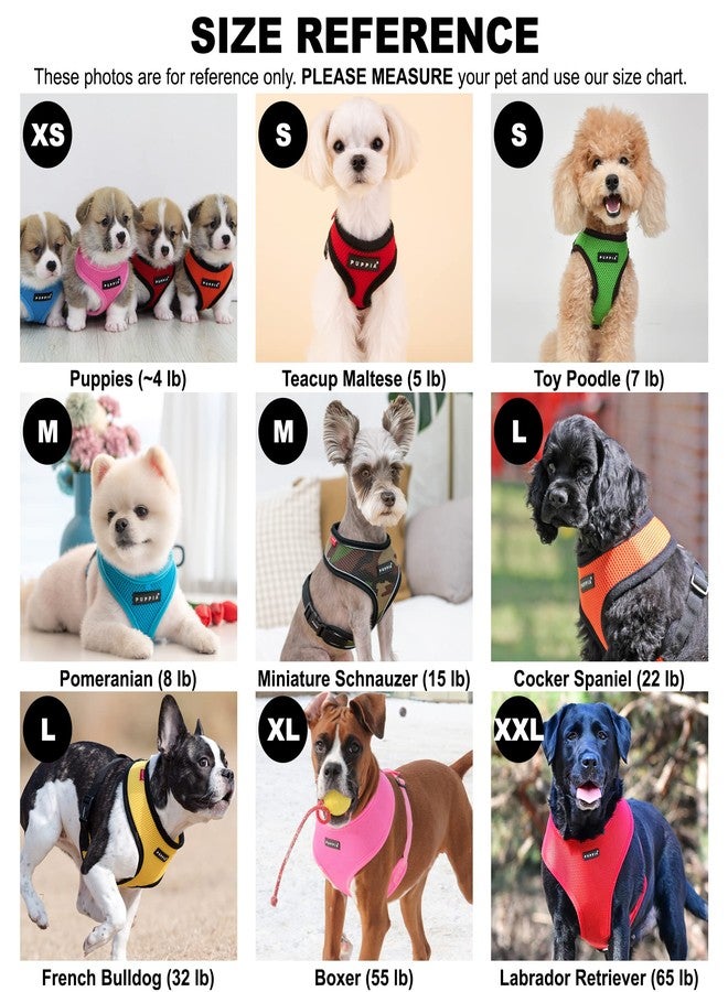 Puppia Soft Dog Harness No Choke Over-The-Head Triple Layered Breathable Mesh Adjustable Chest Belt and Quick-Release Buckle, Sky Blue, X-Large - Image 5