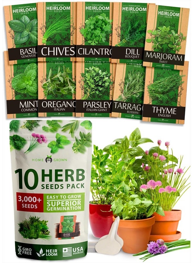 HOME GROWN 10 Culinary Herb Seeds - Non-GMO, Heirloom Seeds - 3000+ Seeds for Planting for Outdoor or Indoor Herb Garden, Basil, Cilantro, Parsley, Chives, Thyme, Oregano, Dill, Marjoram, Mint, Tarragon  - Image 1
