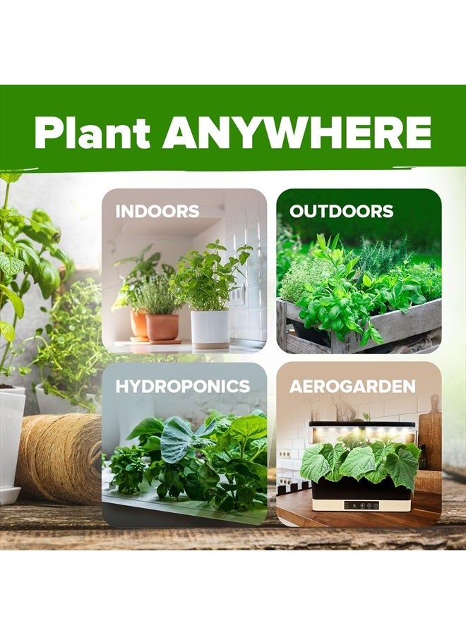 HOME GROWN 10 Culinary Herb Seeds - Non-GMO, Heirloom Seeds - 3000+ Seeds for Planting for Outdoor or Indoor Herb Garden, Basil, Cilantro, Parsley, Chives, Thyme, Oregano, Dill, Marjoram, Mint, Tarragon  - Image 5