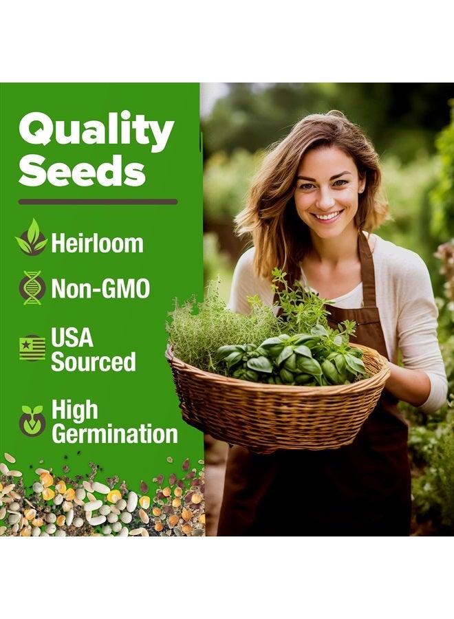 HOME GROWN 10 Culinary Herb Seeds - Non-GMO, Heirloom Seeds - 3000+ Seeds for Planting for Outdoor or Indoor Herb Garden, Basil, Cilantro, Parsley, Chives, Thyme, Oregano, Dill, Marjoram, Mint, Tarragon  - Image 2