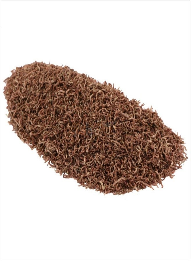 Hallofeed Fisher Men Hallofeed Natural Freeze-Dried Bloodworms - 20g + 10% Extra | Premium Fish Food for All Aquarium Fish | High-Protein Daily Diet for Betta, Goldfish, Tetra, Guppy, and Other Tropical Fish - Image 3