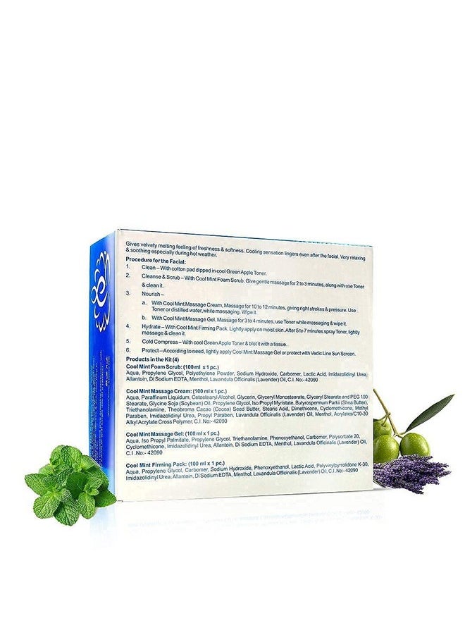 Vedic Line - Cool Mint Facial Kit, Helps To Reduce Tan & Dead Skin With Mint Oil, Lavender Oil, Shea Butter For Skin Brightening With Cooling Sensation, 400Ml - Image 1