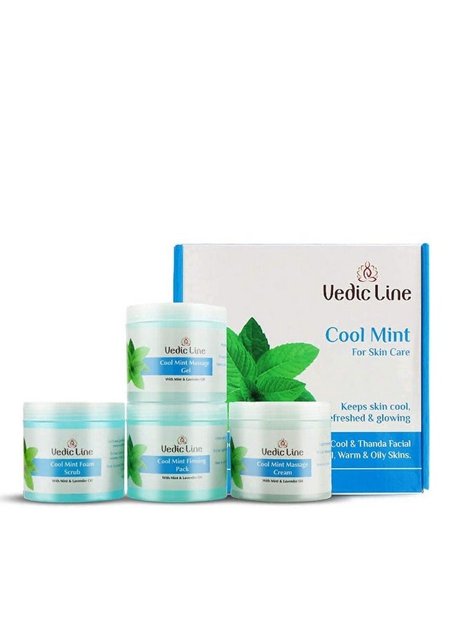 Vedic Line - Cool Mint Facial Kit, Helps To Reduce Tan & Dead Skin With Mint Oil, Lavender Oil, Shea Butter For Skin Brightening With Cooling Sensation, 400Ml - Image 1