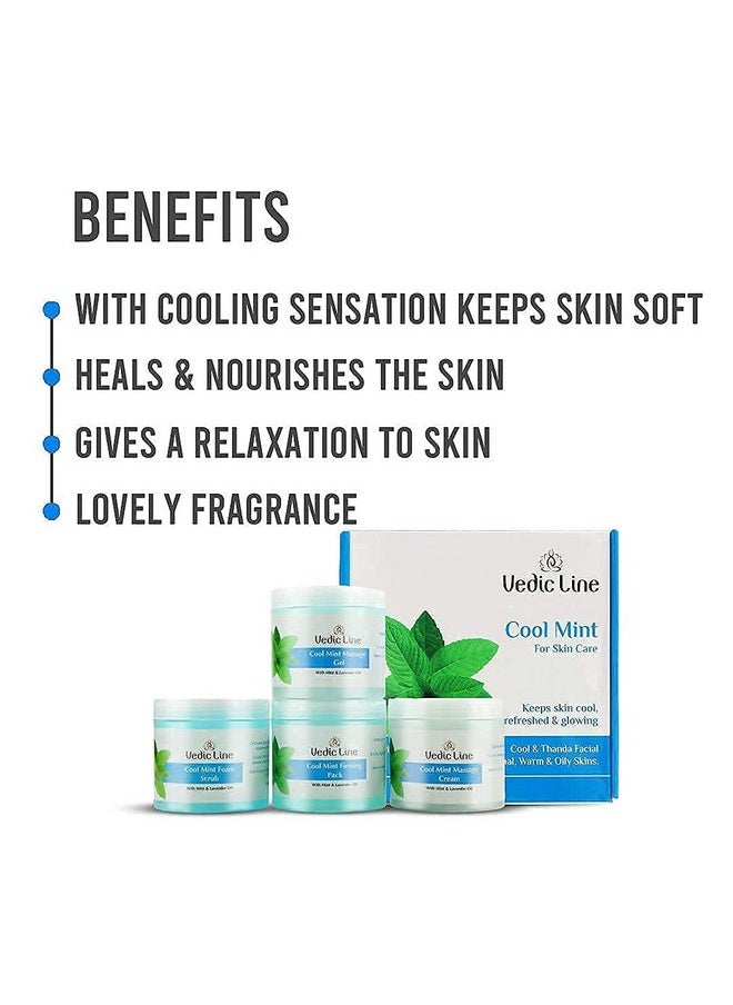 Vedic Line - Cool Mint Facial Kit, Helps To Reduce Tan & Dead Skin With Mint Oil, Lavender Oil, Shea Butter For Skin Brightening With Cooling Sensation, 400Ml - Image 1