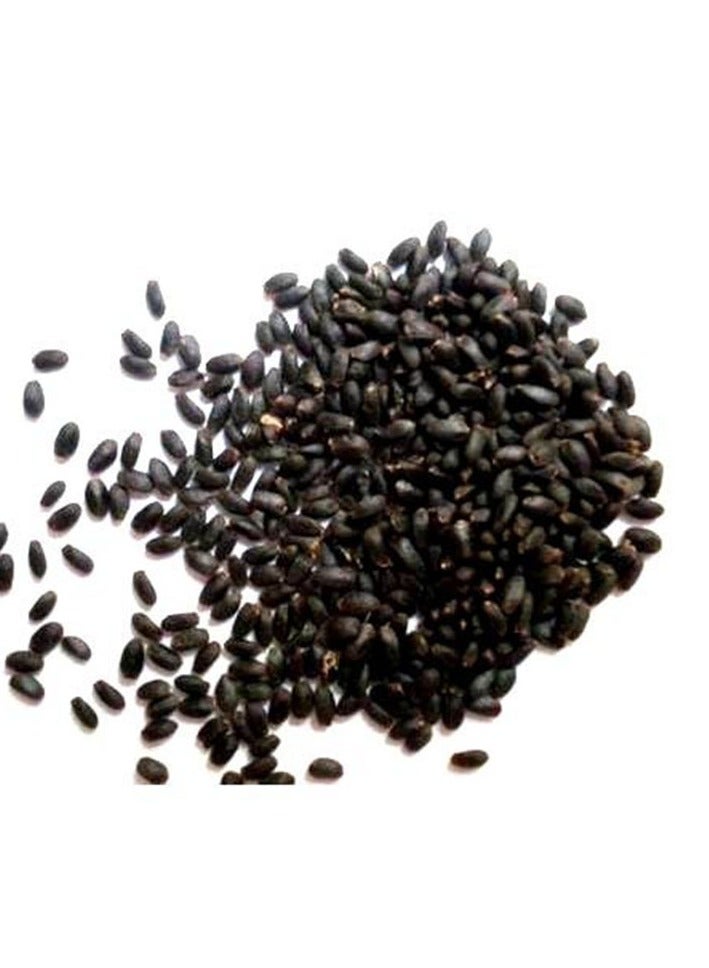 ISMAIL GAZZAZ Red Onion Seeds – High Yield Vegetable Seeds for Home Gardening & Storage - Image 2