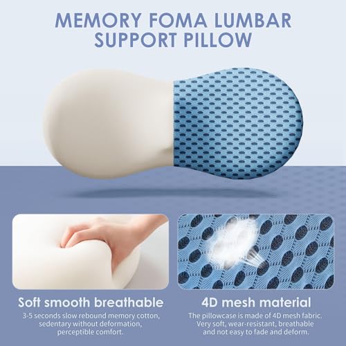 kasney Lumbar Support Pillow, Back Pillow for Low Back Pain Relief, Ergonomic Streamline Car Seat, Office Chair, Recliner and Bed (Blue) - Image 2