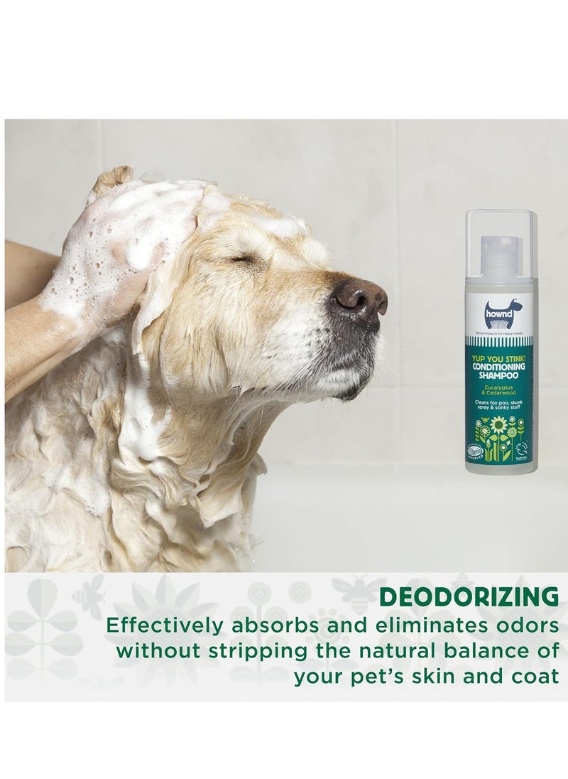 Hownd - Hownd Yup You Stink! Conditioning Dog Shampoo 250ml - Image 1