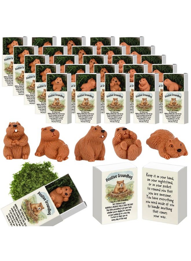 Cinnvoice 25 Set Valentines Day Gifts Bulk for Coworkers Employees Funny Desk Pets Cute Ornaments Positive Thank You Inspirational Card Box Office Valentine's Party Favors (Groundhog) - Image 1