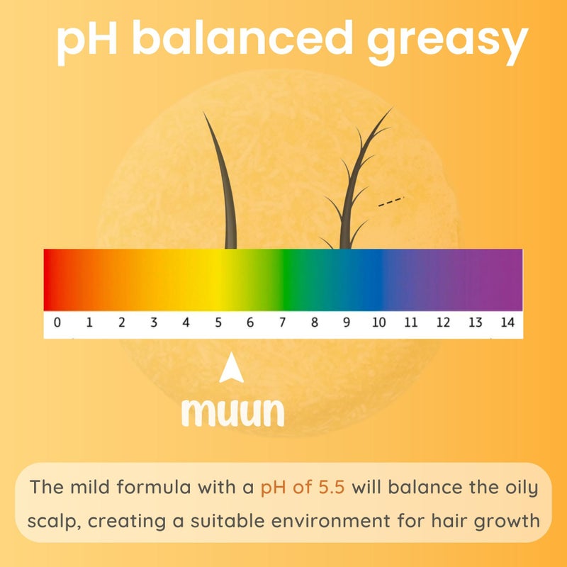 Muun Ginger Shampoo and Conditioner Bar Pack 3 - Hair Growth & Regrowth, Anti Hair Loss, Strengthen & Volumize, pH Balanced - Sulfate & Silicone Free For All Hair Type - Solid Soap for Travel - Image 5