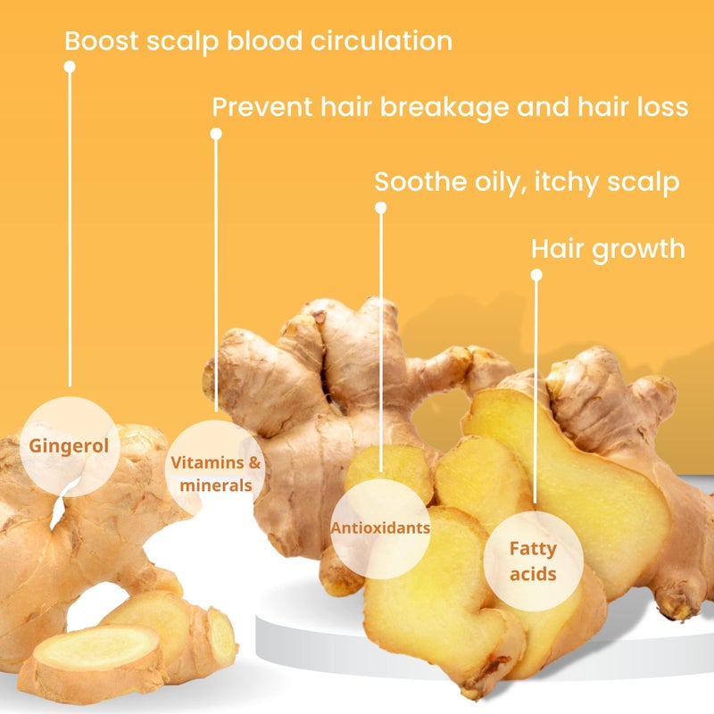 Muun Ginger Shampoo and Conditioner Bar Pack 3 - Hair Growth & Regrowth, Anti Hair Loss, Strengthen & Volumize, pH Balanced - Sulfate & Silicone Free For All Hair Type - Solid Soap for Travel - Image 3