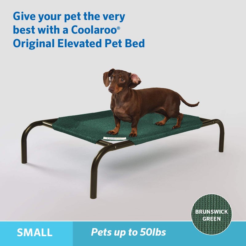 Coolaroo The Original Cooling Elevated Pet Bed,Brunswick Green, Small - Image 2