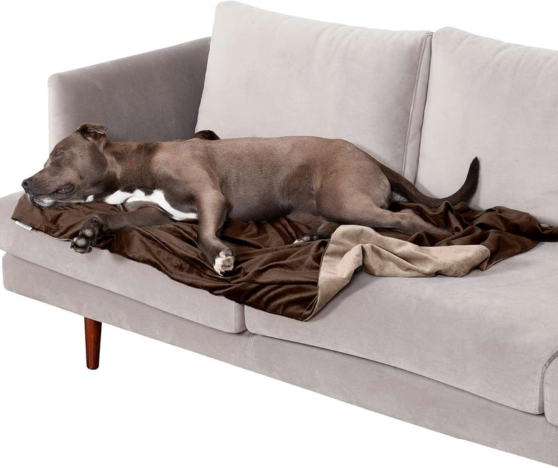 Waterproof Throw Blanket for Dogs & Indoor Cats, Washable - Two-Tone Luxe Velvet Dog Blanket - Brownstone, Large - Image 1