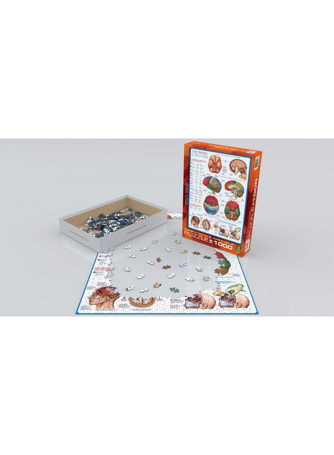 eurographics Human Body (The Brain) 1000 Piece Puzzle - Image 4