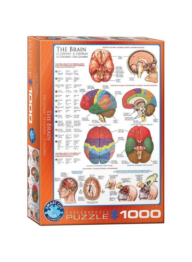 eurographics Human Body (The Brain) 1000 Piece Puzzle - Image 2