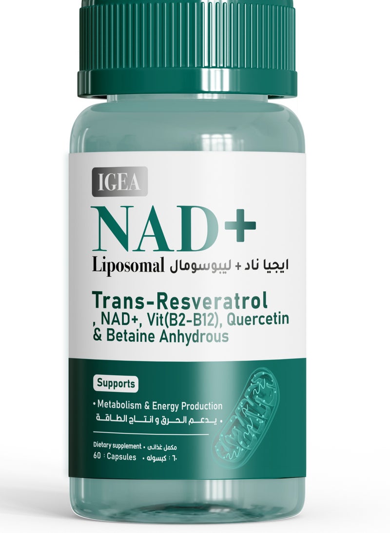 إيجيا فارما ايجيا ناد + ليبوسومال 60 كبسول - Image 1