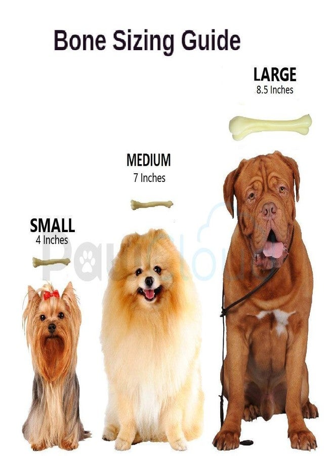 PetWag Plastic Dog Bone Toy, Small, 5 inch - Image 3