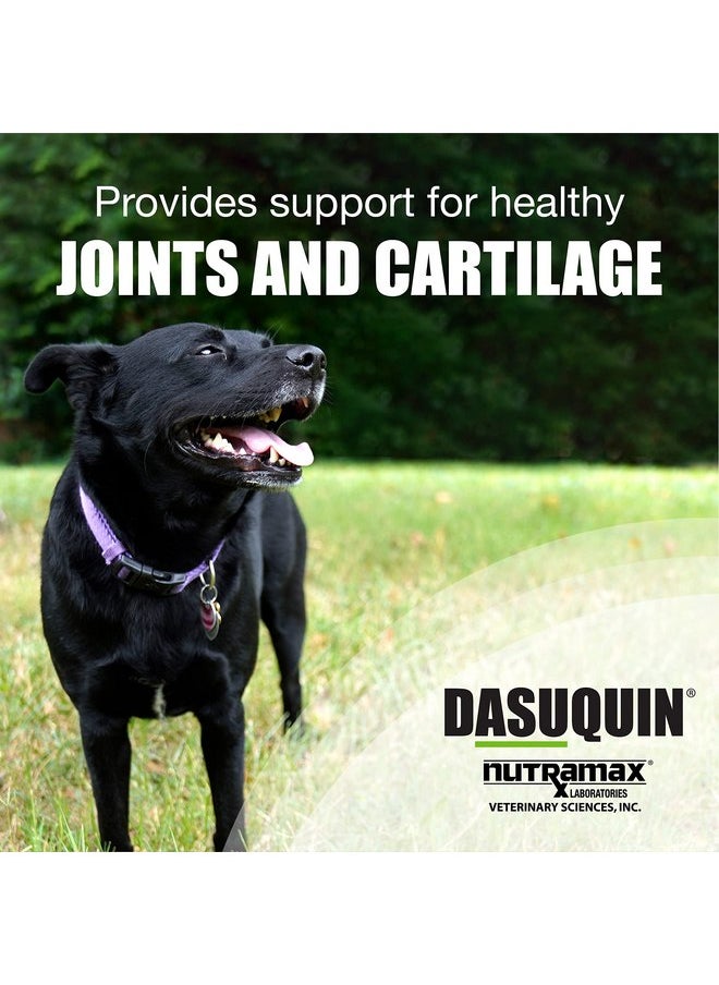 Nutramax Laboratories Nutramax Laboratories Dasuquin Joint Health Supplement for Small to Medium Dogs - With Glucosamine, Chondroitin, ASU, Boswellia Serrata Extract, Green Tea Extract, 84 Soft Chews  - Image 2