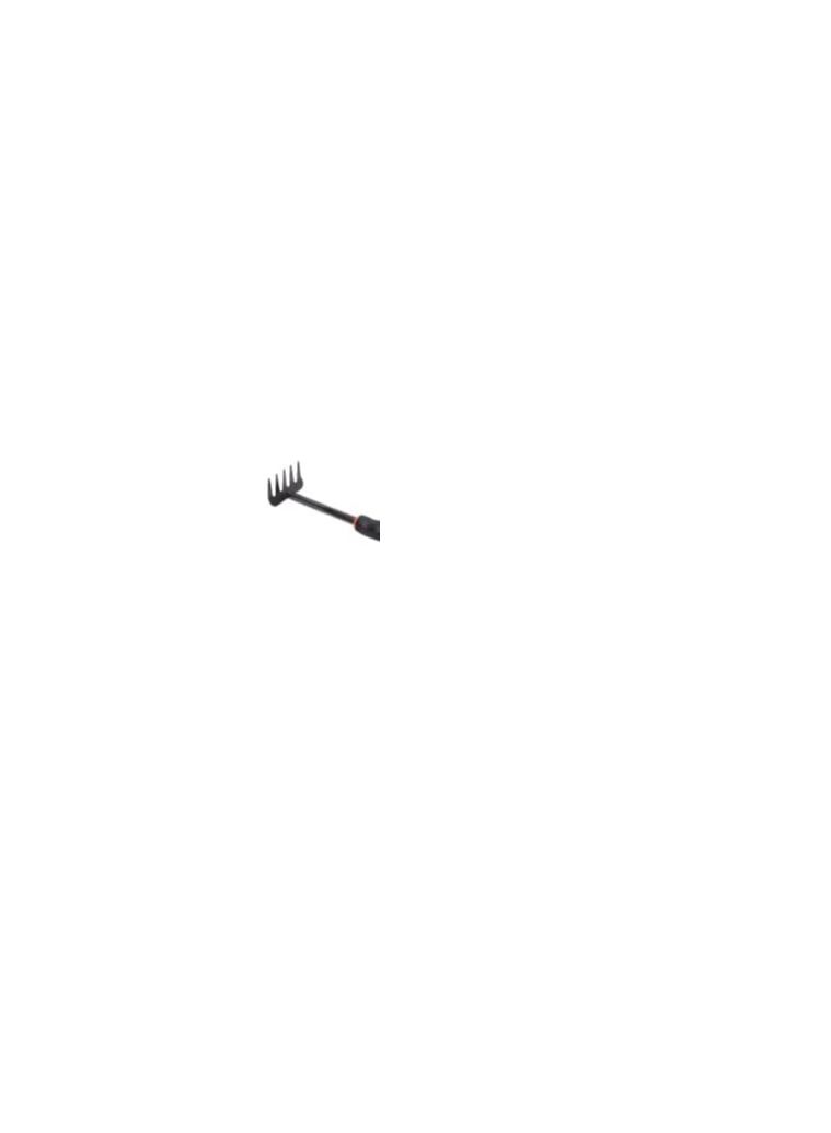 ROBUSTLINE Mini Garden Rake - 4x31x3 cm | Iron Rake | Garden Tool | Rake for Garden Plants, House Plants, Flower Pot | Black Color - Image 2