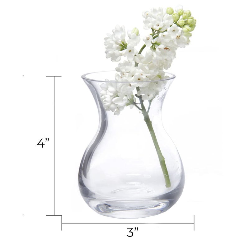 CHIVE â€˜Georgeâ€™ Glass Bottle Flower Vases â€” Set of 6 â€” Small, Elegant Clear Glass Bud Vases â€” Bulk Pack for Home Decor & Table Centerpieces â€” Shape 4 (Oval, 4â€ Tall, 3â€ Wide) - Image 3