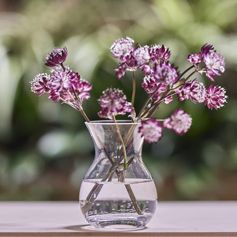 CHIVE â€˜Georgeâ€™ Glass Bottle Flower Vases â€” Set of 6 â€” Small, Elegant Clear Glass Bud Vases â€” Bulk Pack for Home Decor & Table Centerpieces â€” Shape 4 (Oval, 4â€ Tall, 3â€ Wide) - Image 5